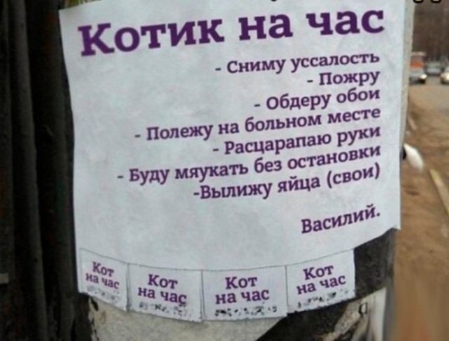 Прикольные и просто красивые картинки 05.09.2020