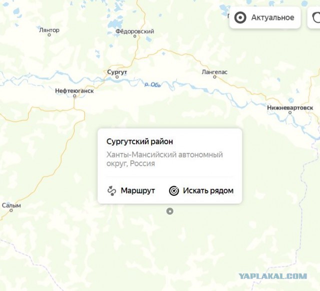 Уехать бы в тайгу от всех...