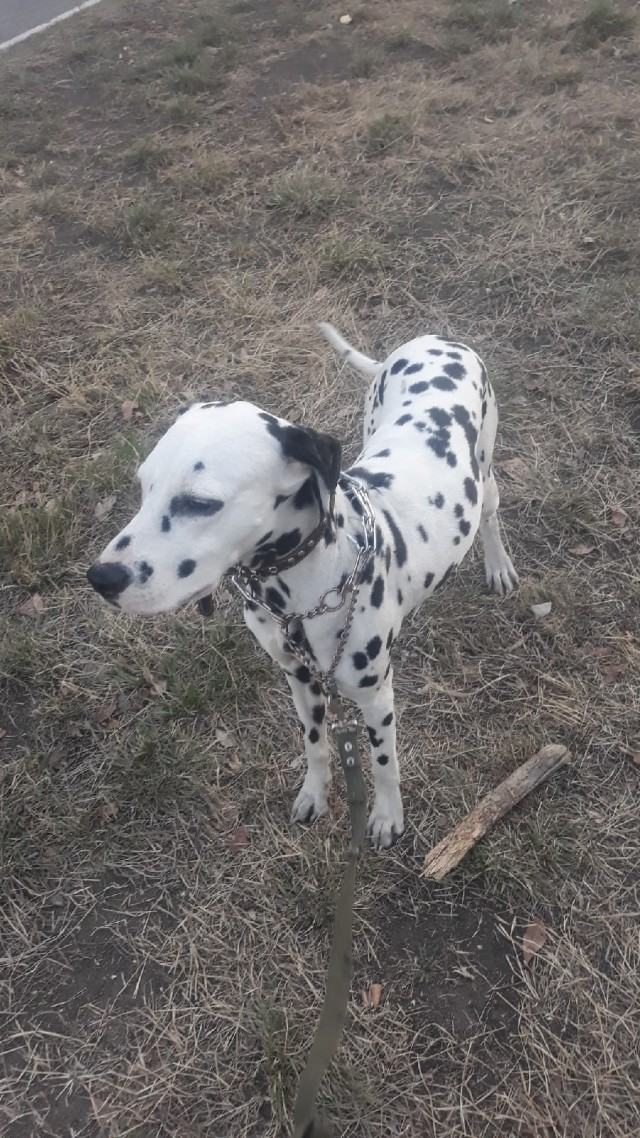 Подборка забавной живности