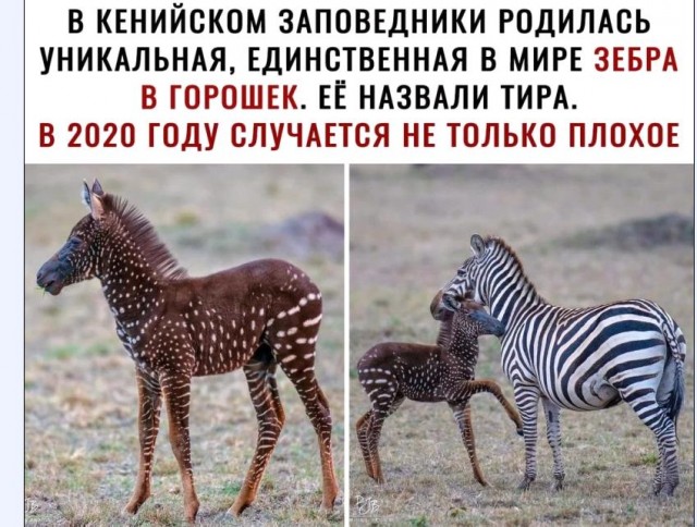 Картинки и мемы для настроения 006