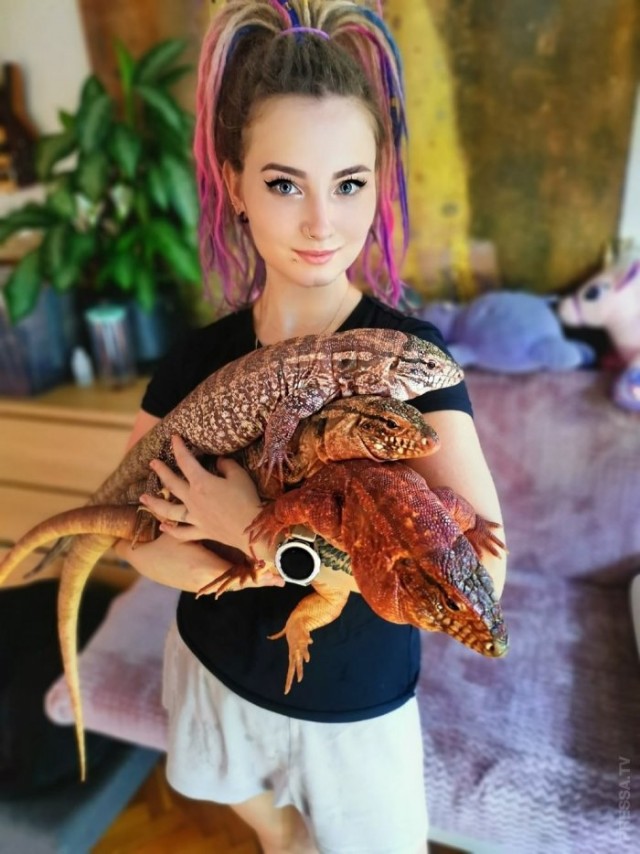 Солянка