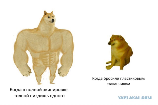 МВД России обратилось с предупреждением, использовав известный мем "качок Доге и Чимс"