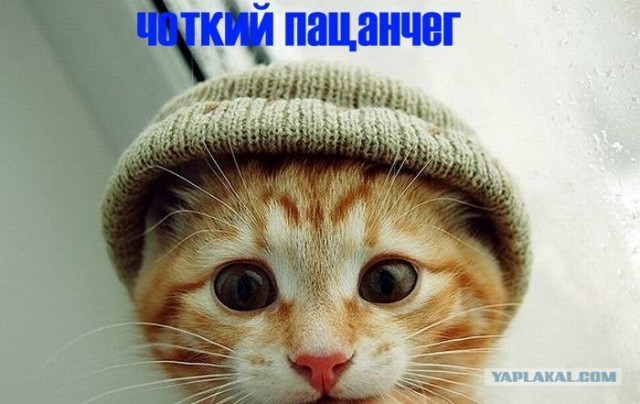 Битва за Кухню