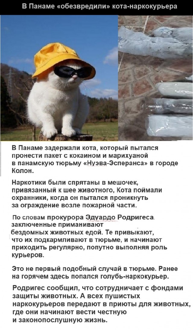 Картинки с надписями и всякие жизненные фразы 20.04.21