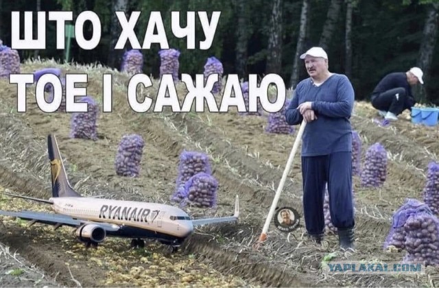 В небе над Беларусью почти нет самолетов