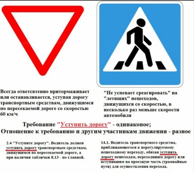 Не ест, мучают кошмары и при ДТП ослепило солнце. Процесс ухода от ответственности для сбившей троих детей студентки начался