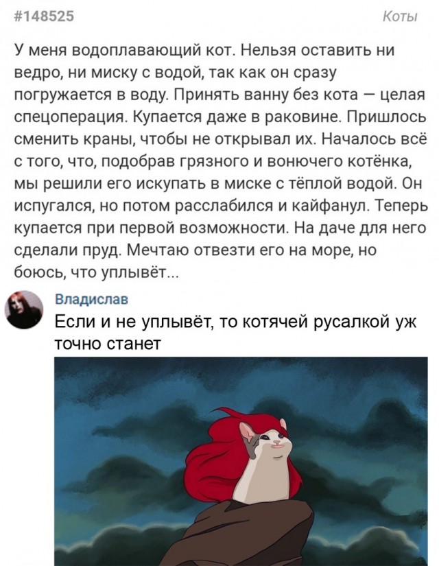 Так себе картинки 27.07.21