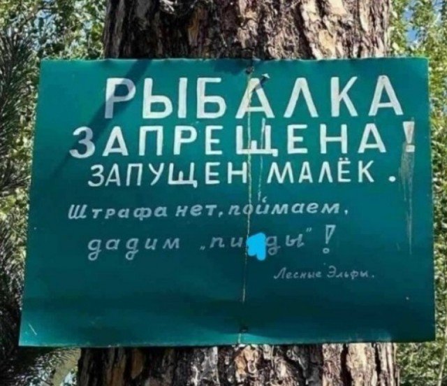 Баянисто-небаянистый юмор 09.08.21