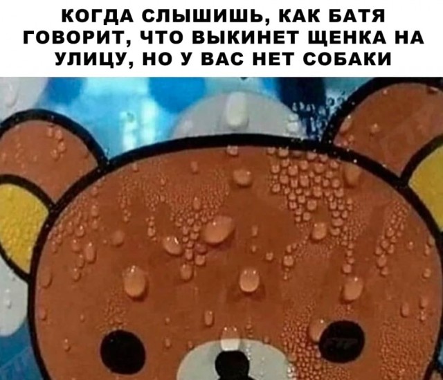 Так себе картинки 23.11.21