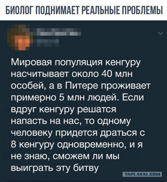 Если солдаты НАТО нападут с бутылками — им п*зда