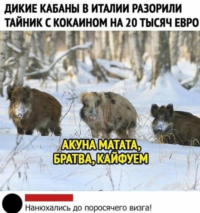 Пятница. Вечер. Картинки всякие... #3