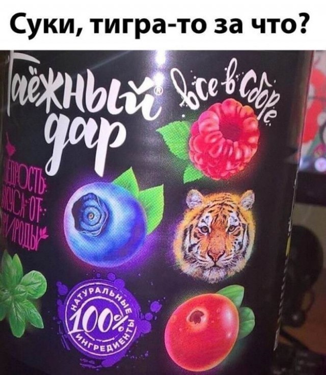 Так себе картинки 25.05.22