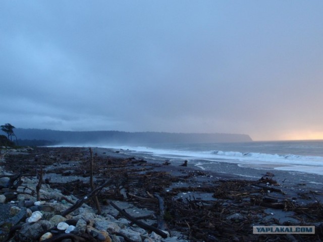 На машине по Новой Зеландии