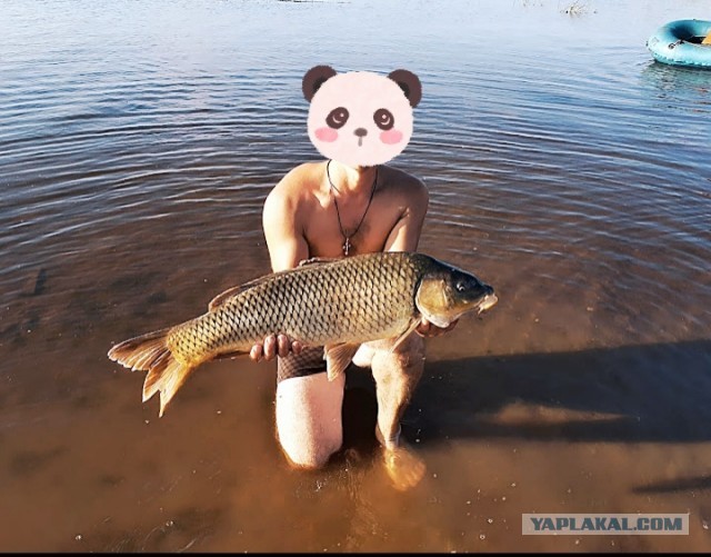 Рыбалка на карася