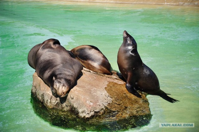 Мой Евротур