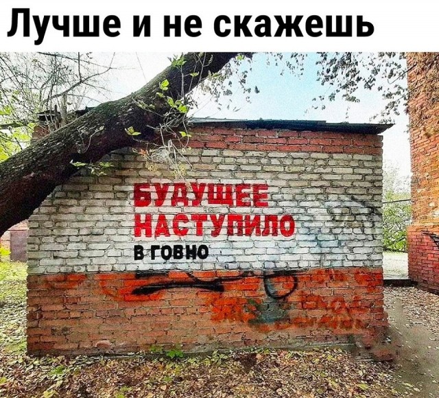 17277064.jpg