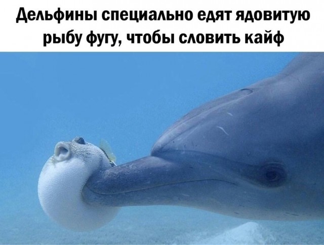 Так себе картинки 19.10.22