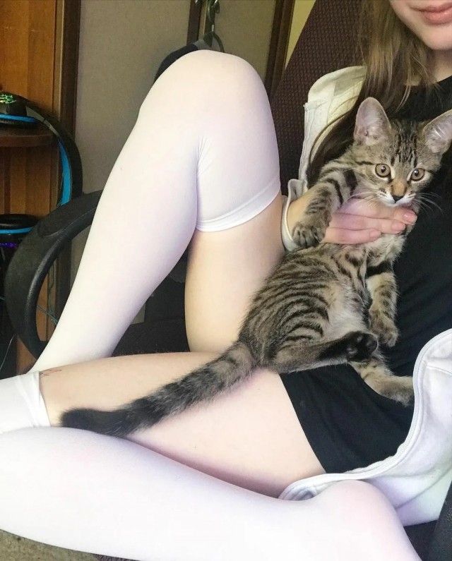 Кисковторник для взрослых