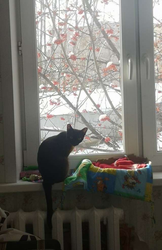 А из нашего окна вот такая красота...