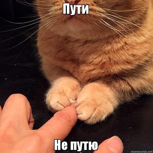 Байден и бесконечное рукопожатие с Макроном