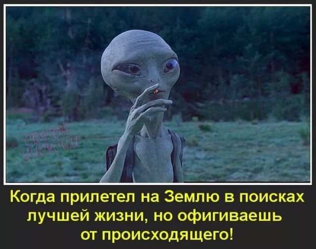 Представительница России впервые получила титул "Миссис Вселенная"