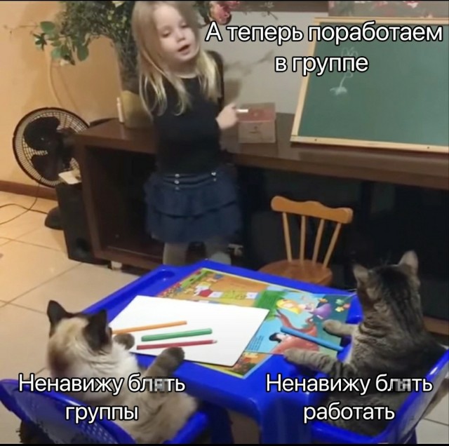 Весёлый полтишок 15.02.23