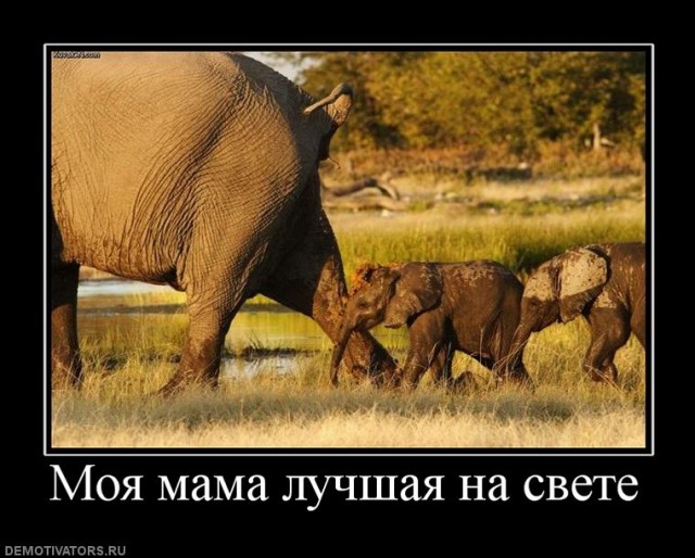 Народная меДИЧина 3009