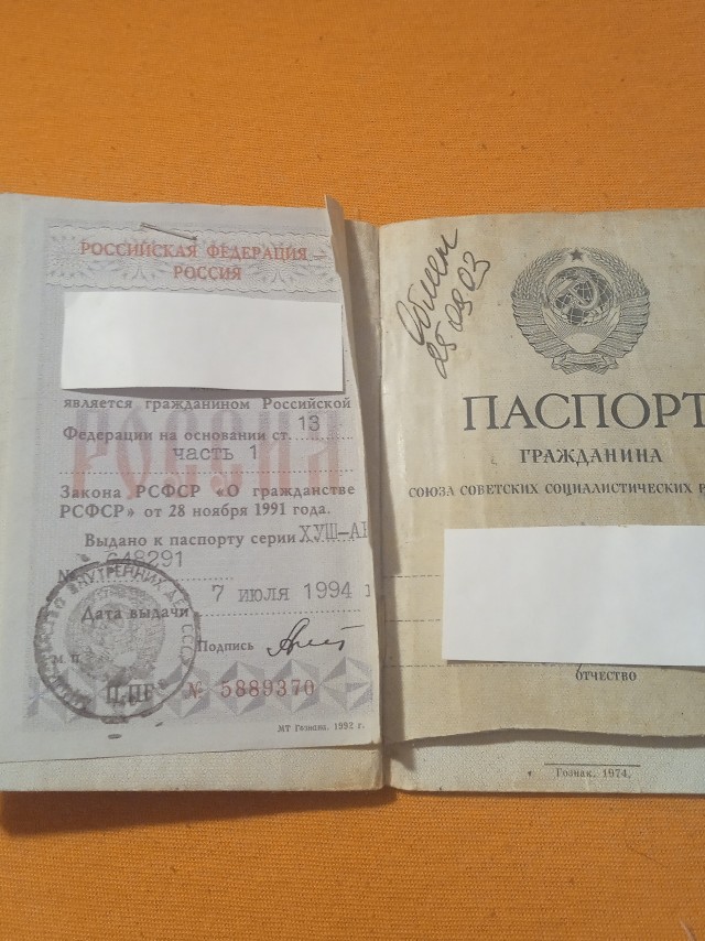 Теперь в России могут лишать гражданства официально