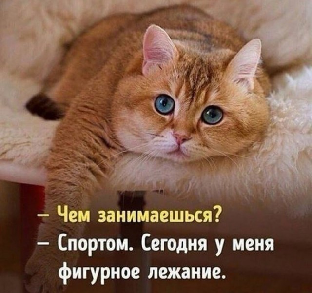 Картинки и мемы, всяко разно - 175
