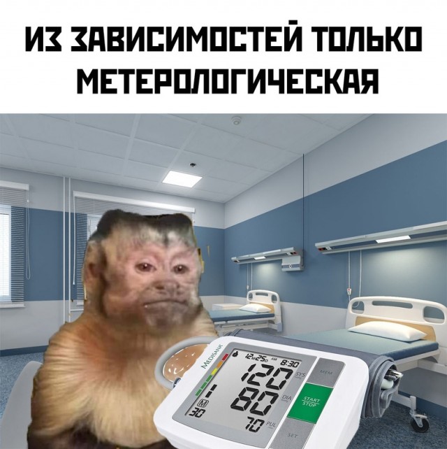 Картинки и мемы для настроения - 181