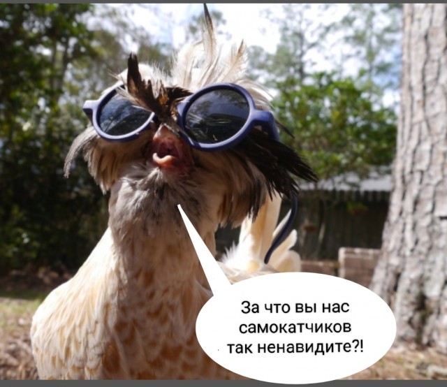 Смачный удар