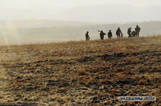 Морпехи ТОФ «дали жару»