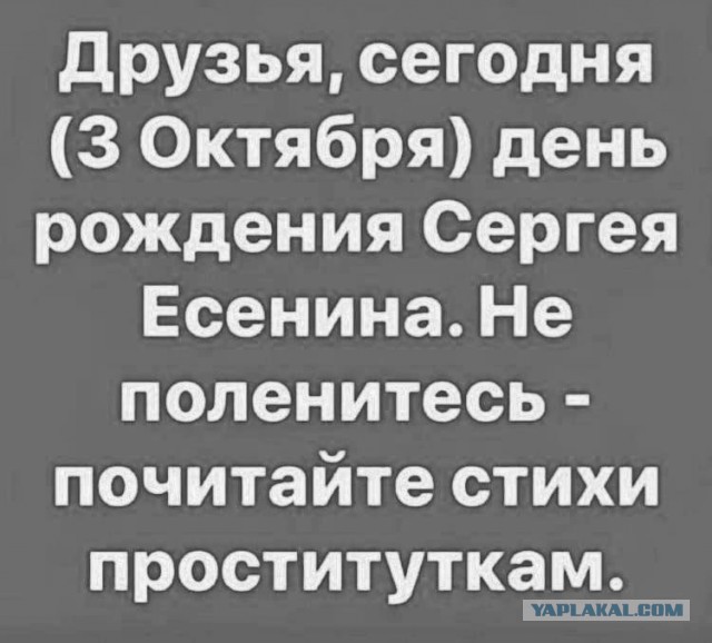 Чёрно-пошлая среда для деградантов