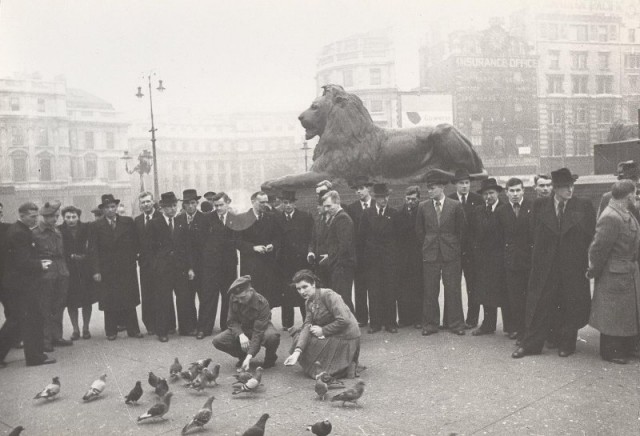 Фотографии из прошлого нашей страны - 41