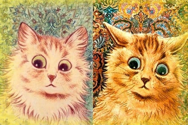 Кошатники, приготовьтесь: австралийские учёные выяснили, что наличие ваших пушистиков в доме увеличивает риск развития шизофрении.