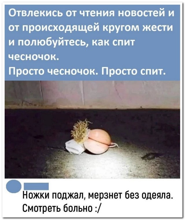Забавные комментарии из социальных сетей (15.01.24)