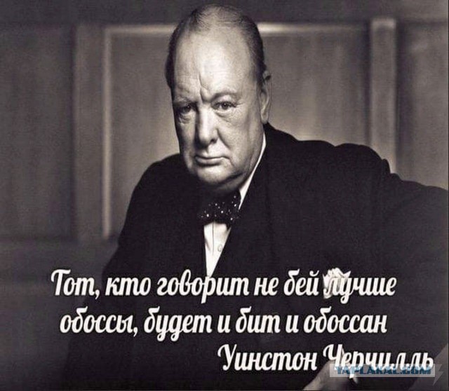 Налоговая заблокировала счета Анастасии Ивлеевой