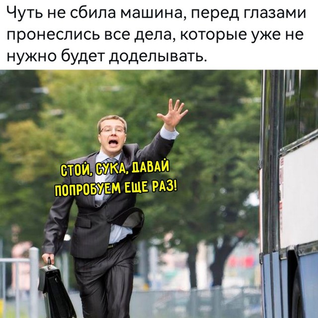 Весёлый полтишок 17.06.24