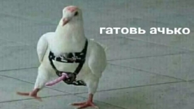 Как не надо с друзьями трахаться