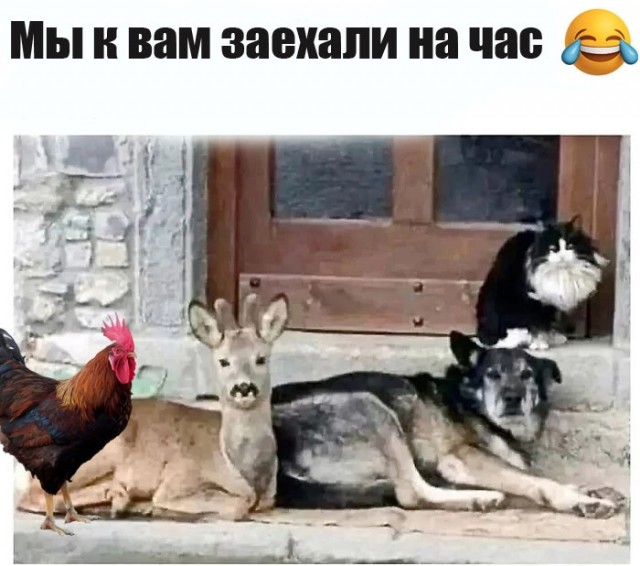 Так себе картинки 07.08.24