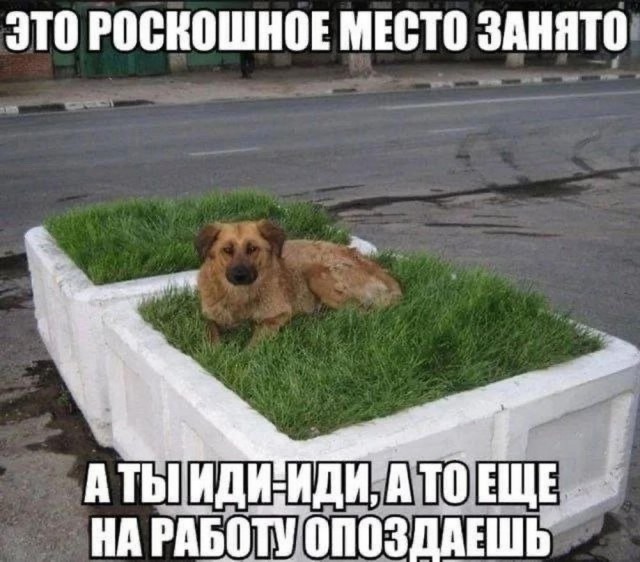 Немного забавных картинок от 22.08.2024