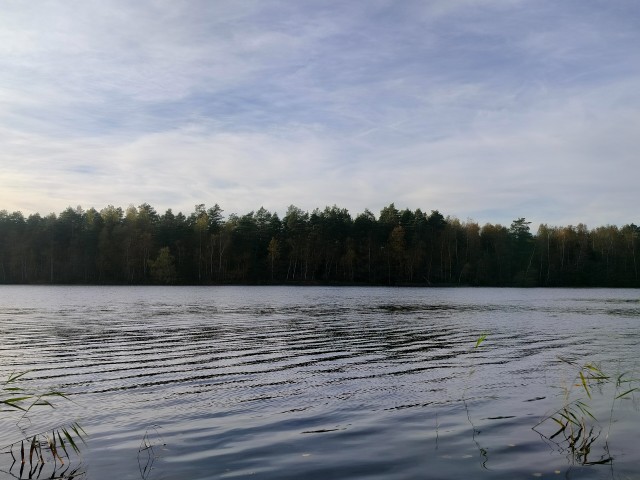 Осень на озёрах