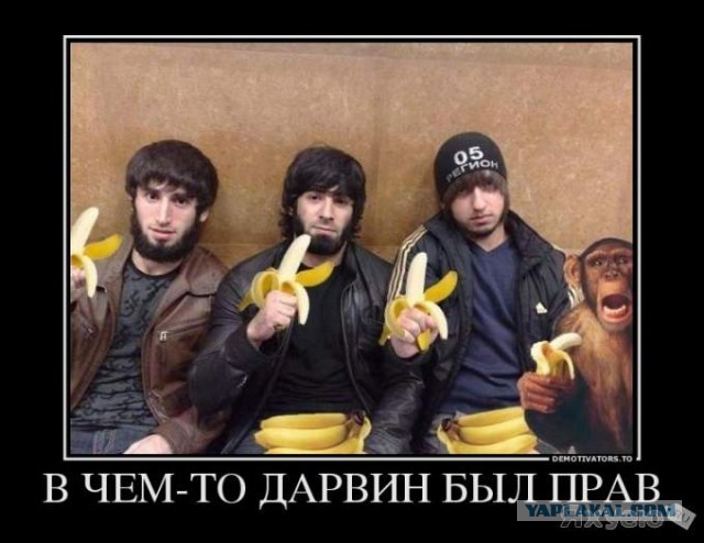 Молодец девчушка