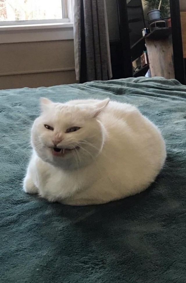 Когда конец света наступит, вы этого даже не заметите