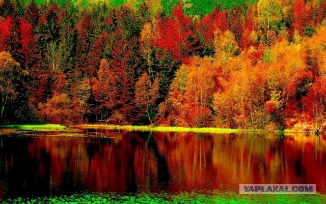 Камуфляж