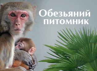 Лучшая Вечеринка В Мире