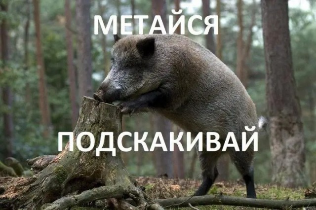 Так себе картинки 11.05.25