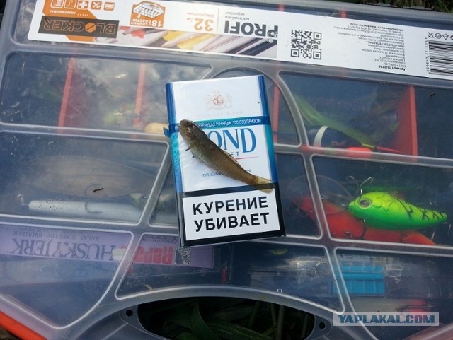 Подумал, решил, сделал