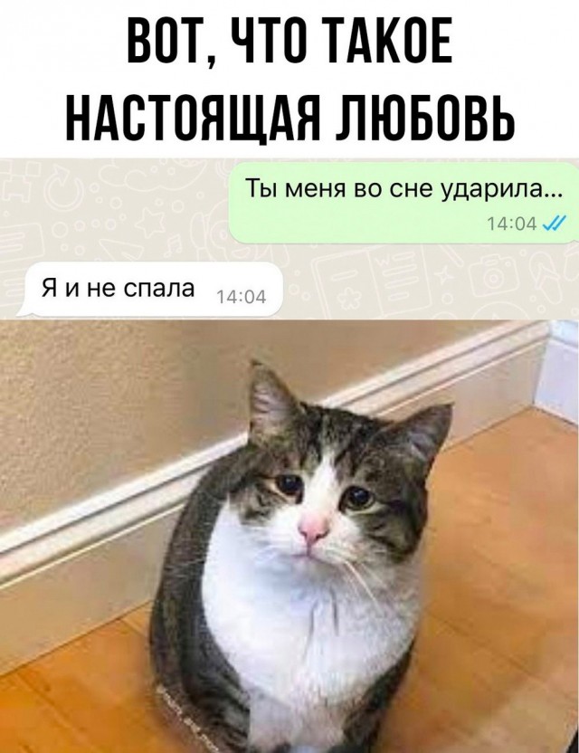 Жипеги и не совсем