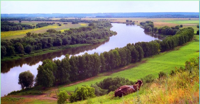 Донская степь